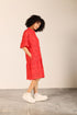 CHILLI ZURI DRESS